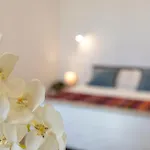 Nura\'S - La Marina Apartment & Room